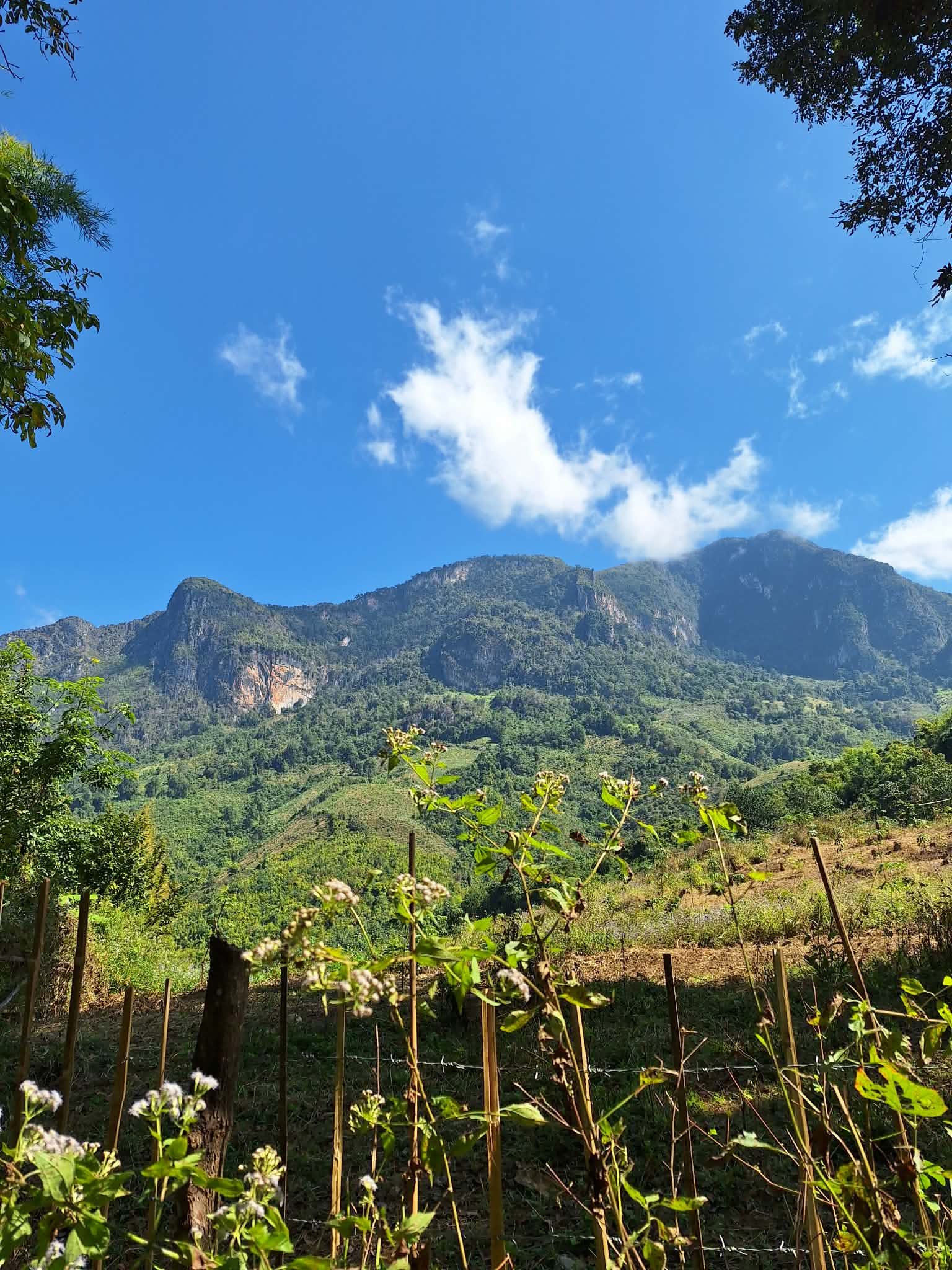 Experience Nature and Adventure