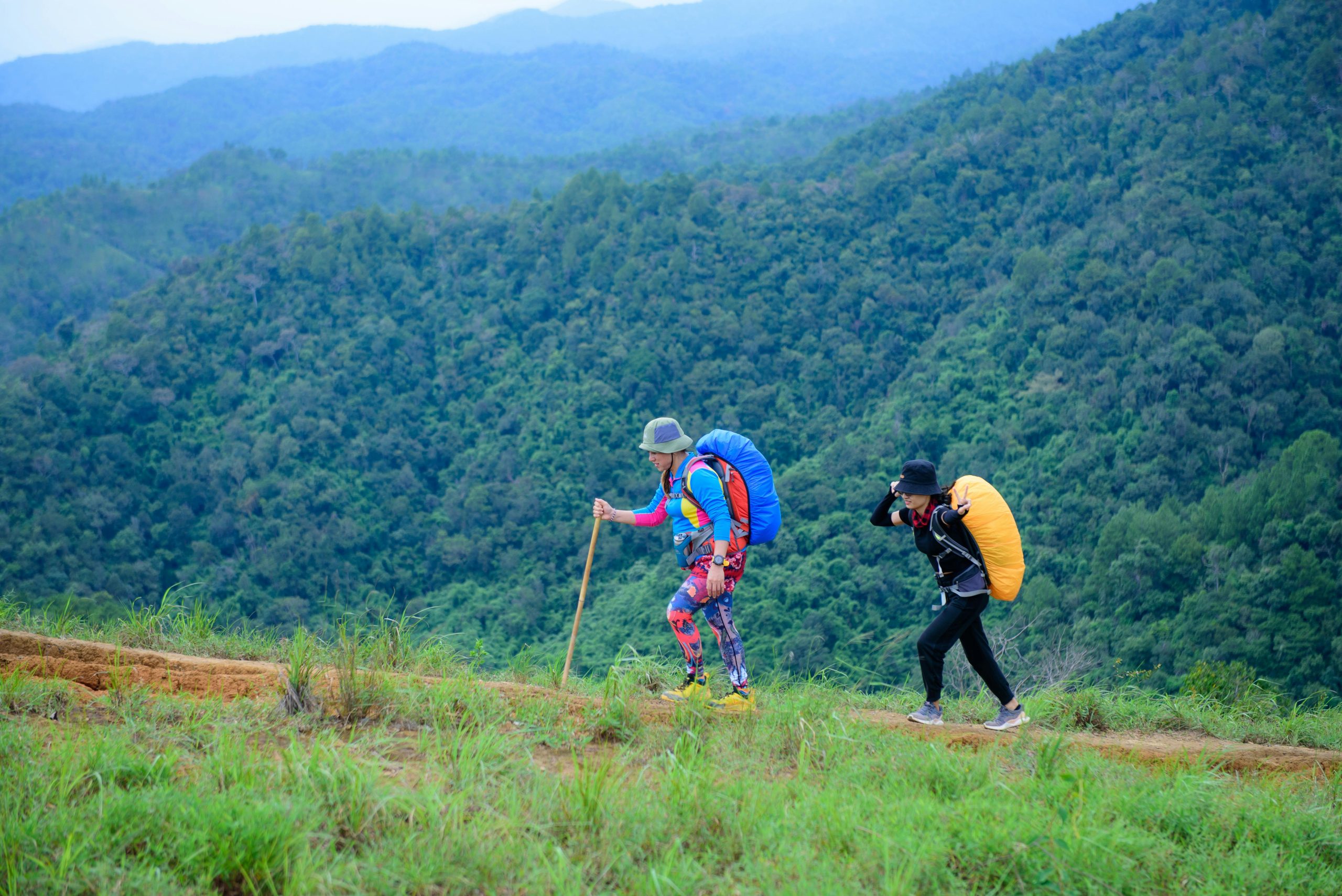 Eco Adventures and Local Guided Tours